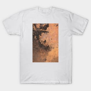 Orange texture T-Shirt